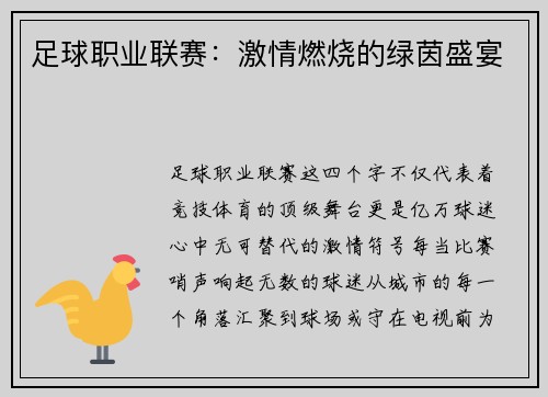 足球职业联赛：激情燃烧的绿茵盛宴